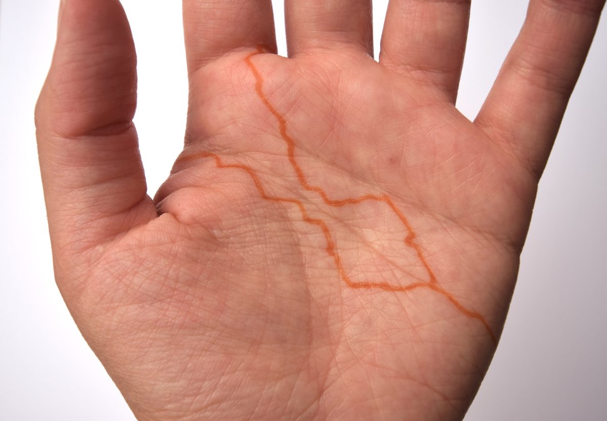 A close-up image of a left hand, palm up. A map of the Tigris and Euphrates Rivers has been drawn onto the hand with henna.