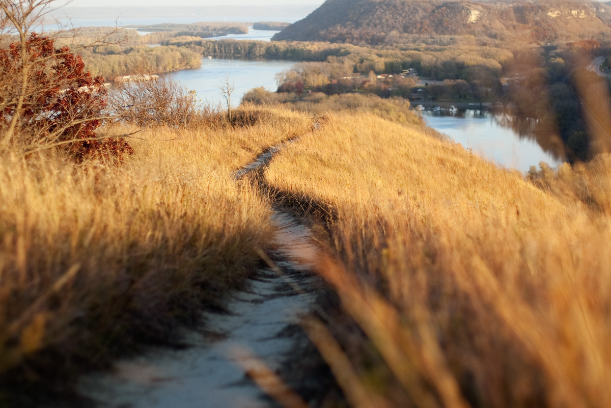 Photograph taken from the top of He Mni Can/Barn Bluff in Red Wing with prairie grass in the foreground and the Mississippi River Valley with bluffs in the background