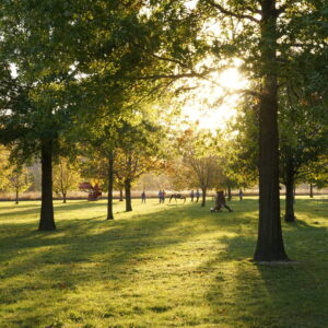 A group of people walk through the Anderson Center Sculpture Garden as the sun streams through the trees. Everything is very green.