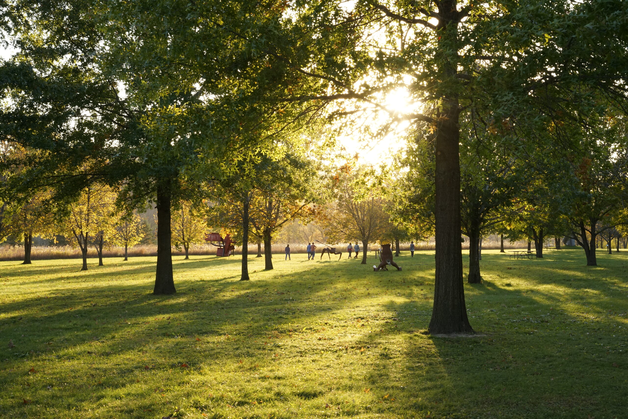 A group of people walk through the Anderson Center Sculpture Garden as the sun streams through the trees. Everything is very green.