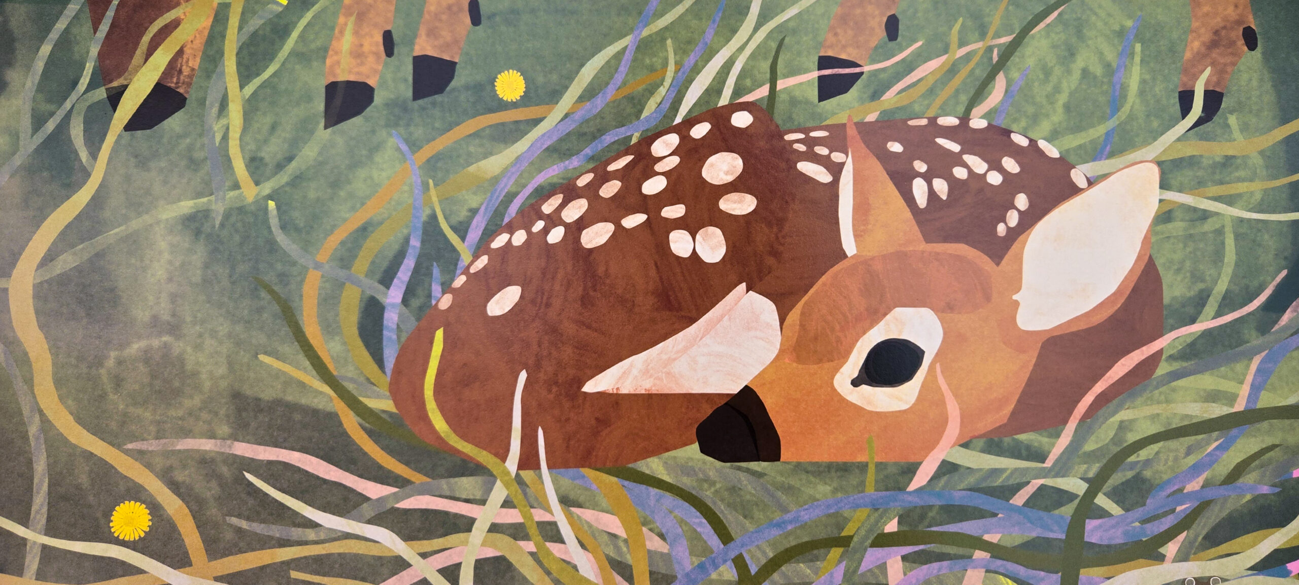 Illustration of a baby deer laying in the grass. Hoofs are visible at the top of the image, showing that momma deer is close by.